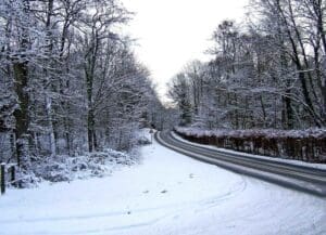 The frog and the Princess - Love Story Quest