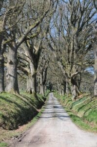 Tales of the Courier - Slipstream Blues