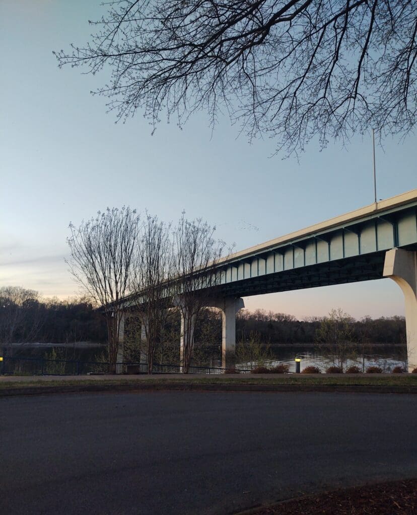 Chasing the App for Algorithm Zen