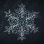 The most important delivery