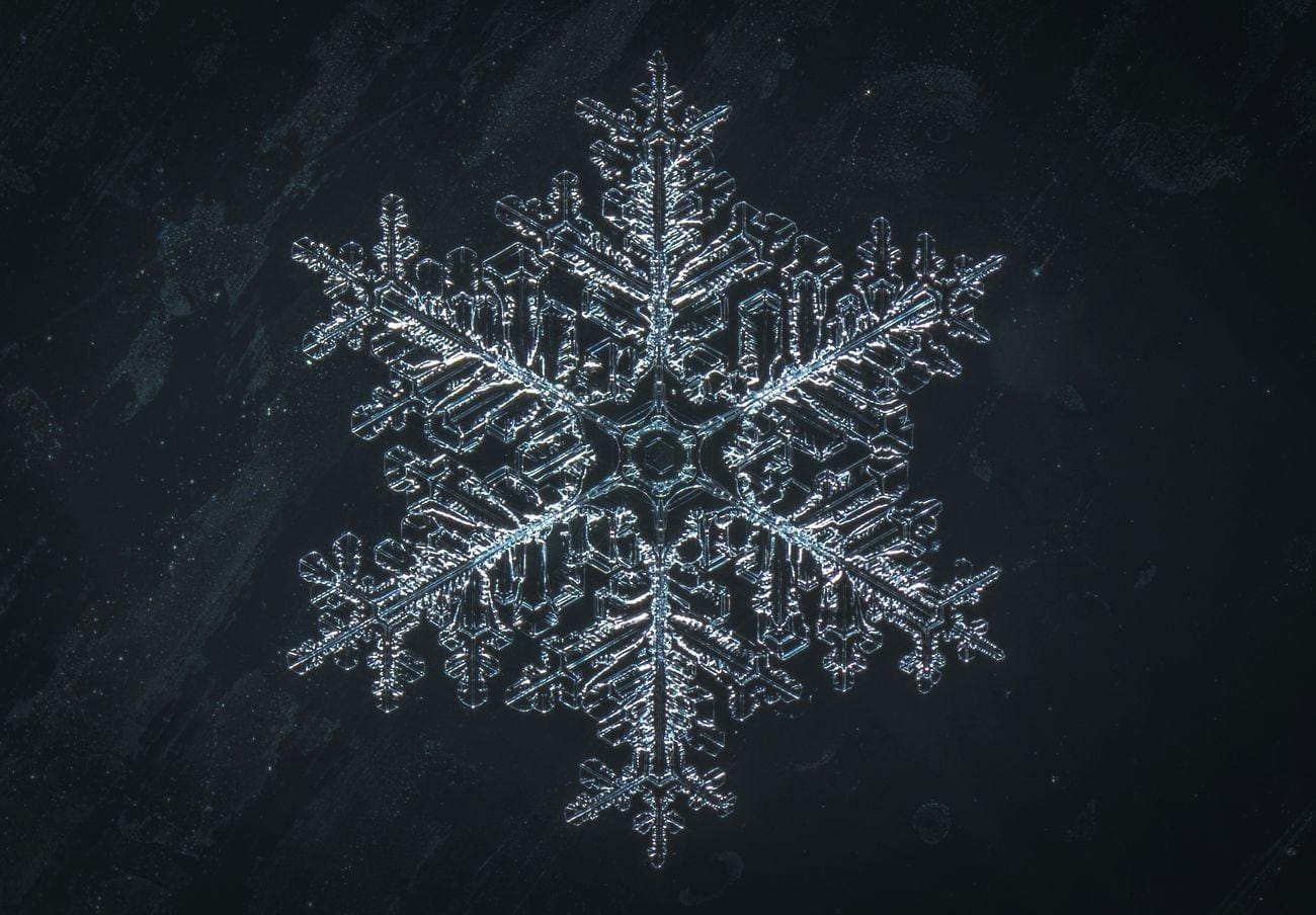 The frog and the Princess - The Warmth of Love