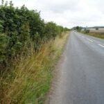 Tales of the Courier - The sensational proxy delivery