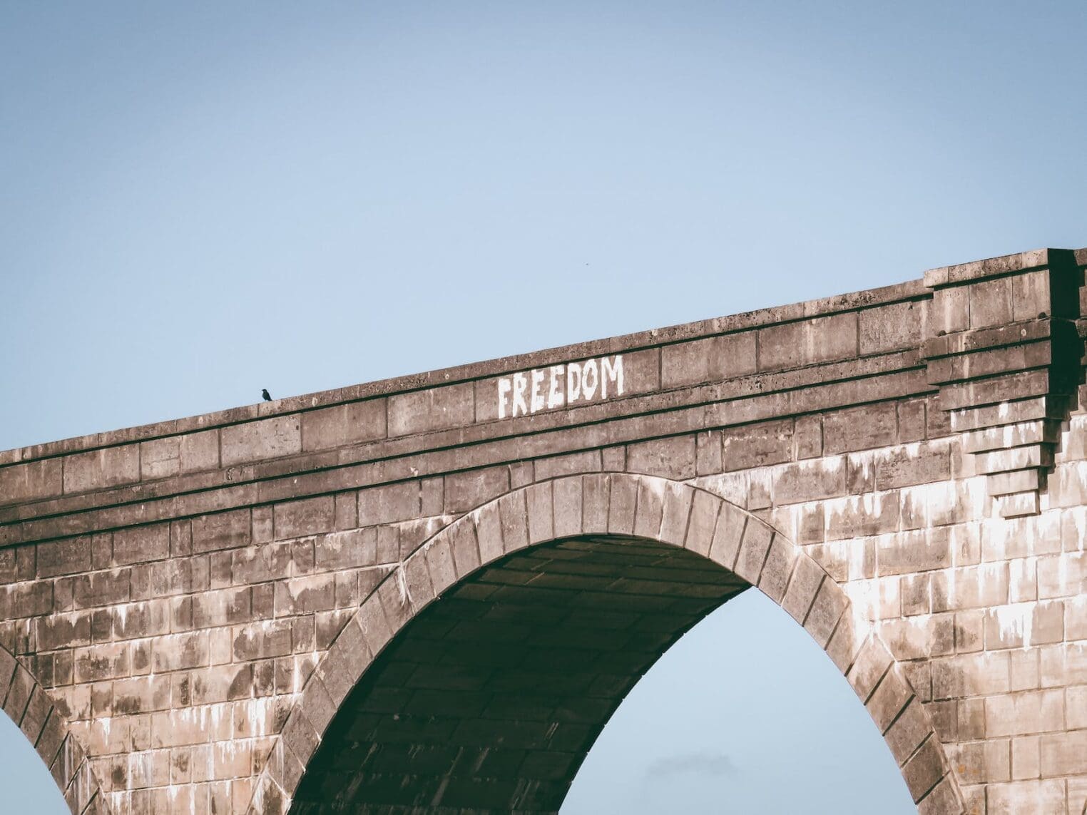 freedom 