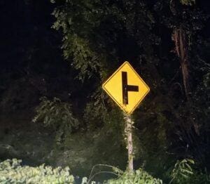 The food near me option, and the new courier