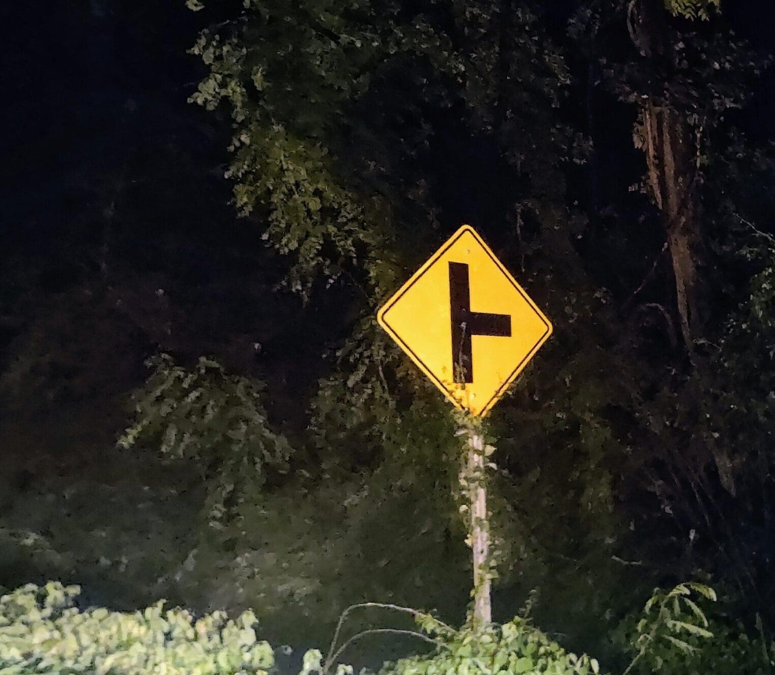 The food near me option, and the new courier