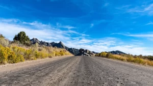 The first delivery for the best beginning