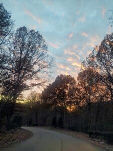 Dispatch courier double down and the improved delivery