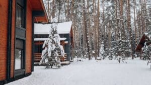 January freeze