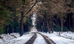 Road conditions
