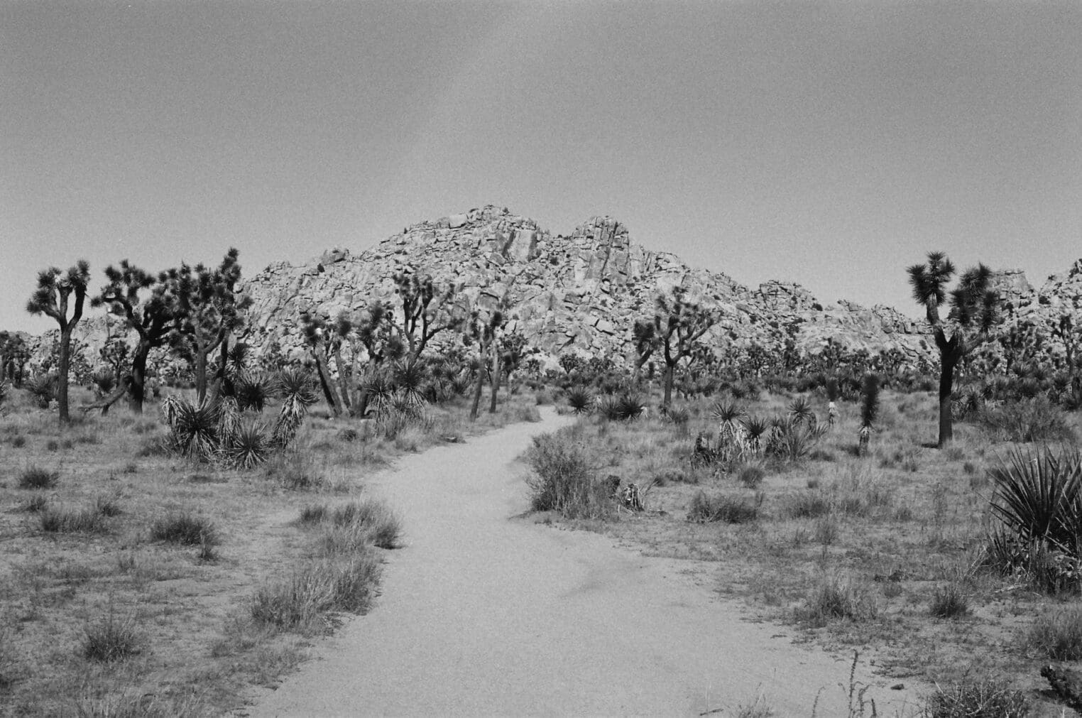 A timely pickup and managing the dusty trail time