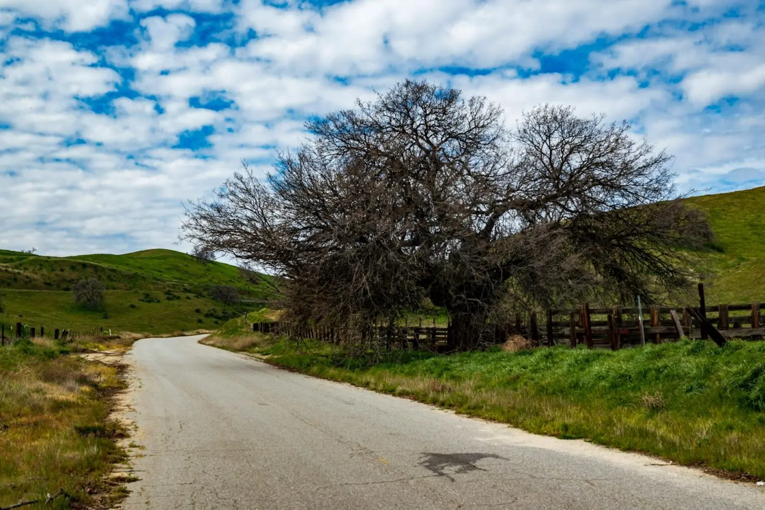 Tales of the Courier – Guilty until proven delivery