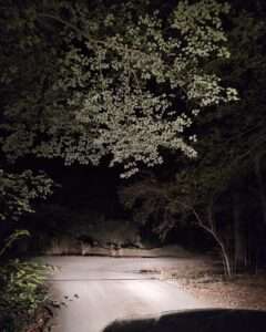 the best delivery results