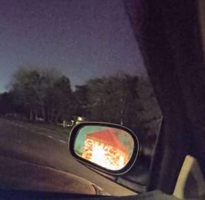 Food delivery trends