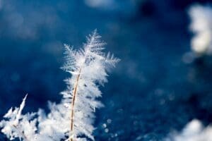 snow fall