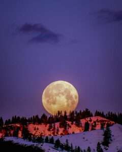 moonlight spirit