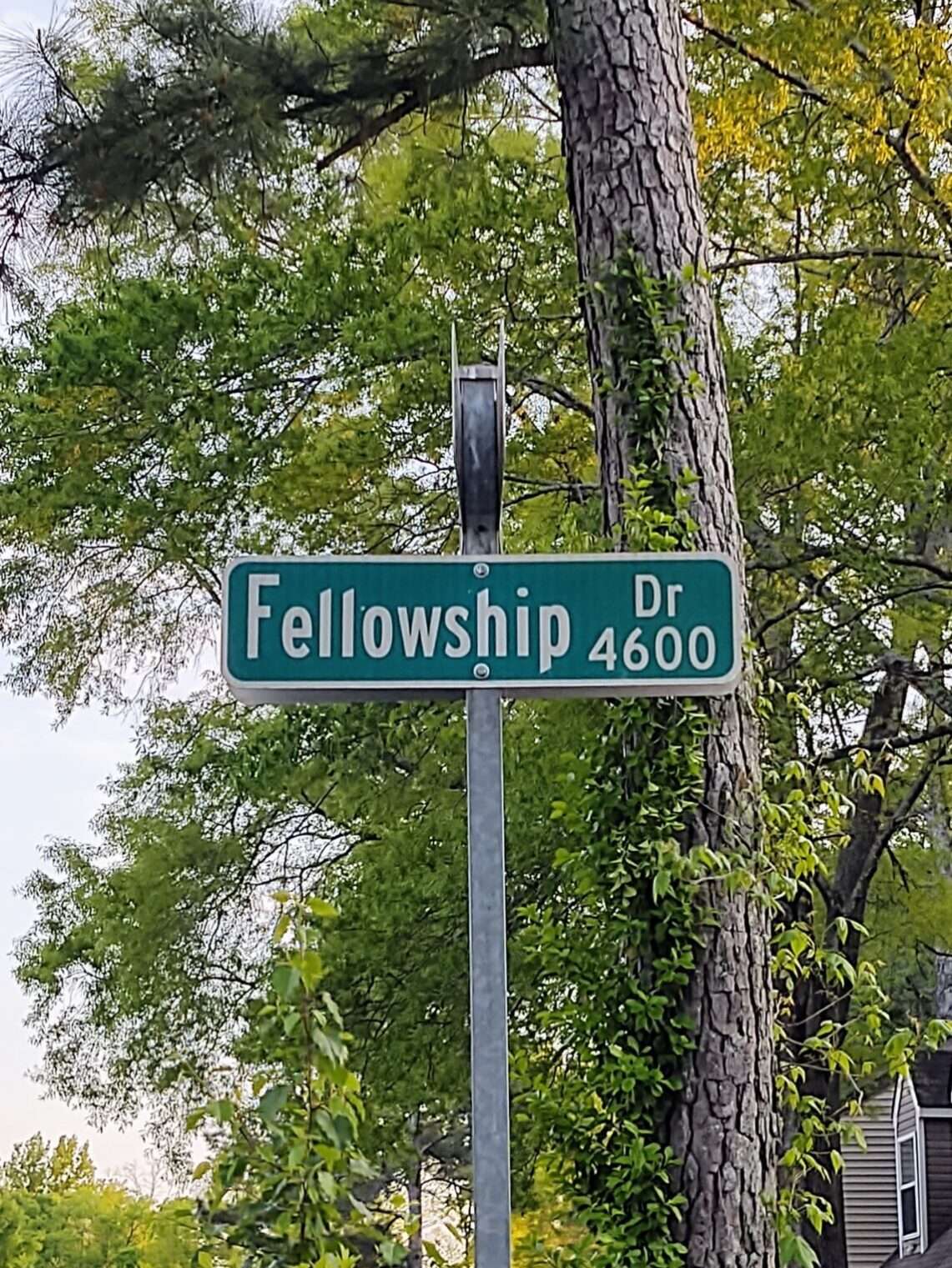 Planning the holiday meal delivery for better returns