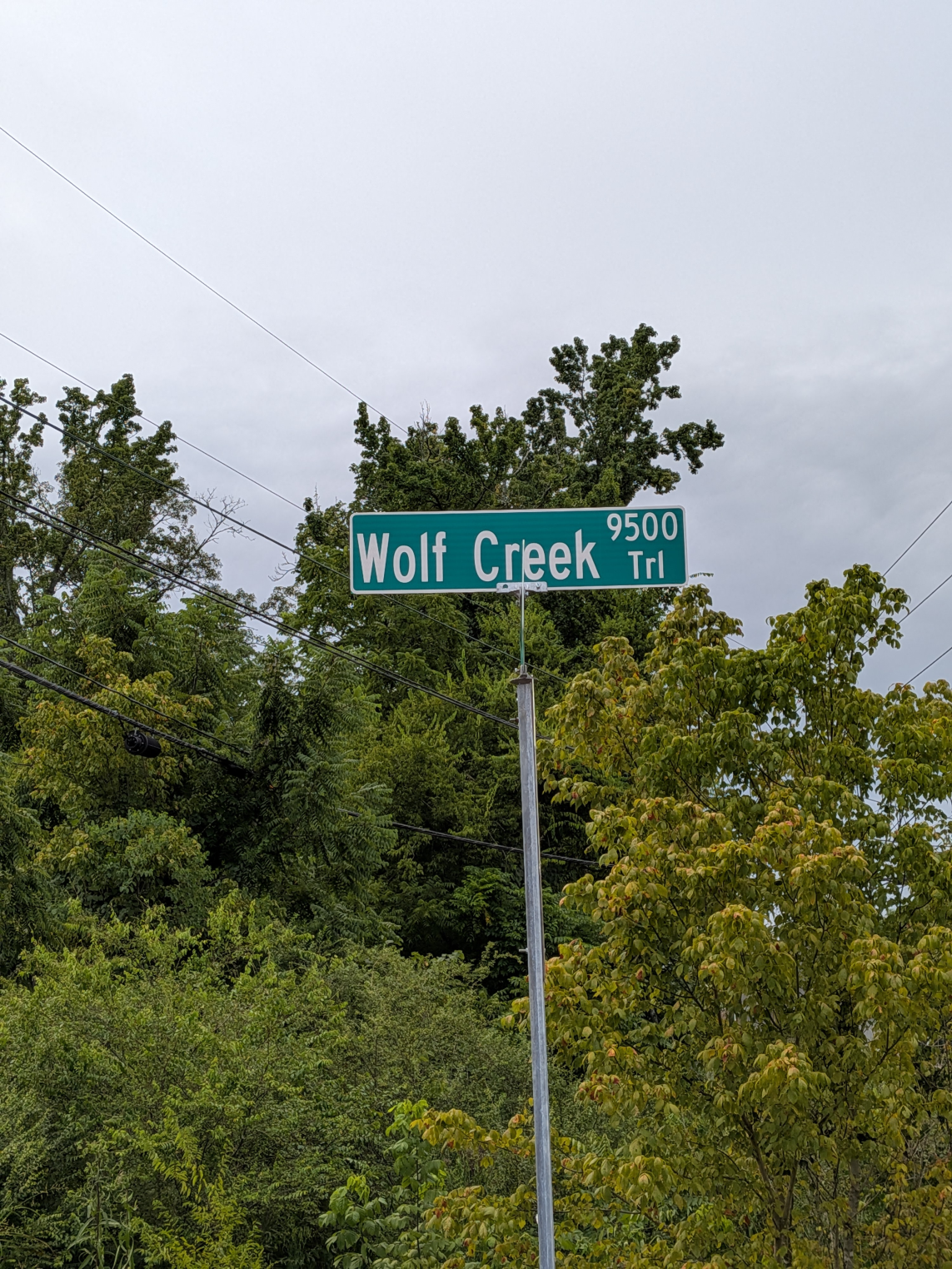 Better reviews and ratings with a focus on the basics