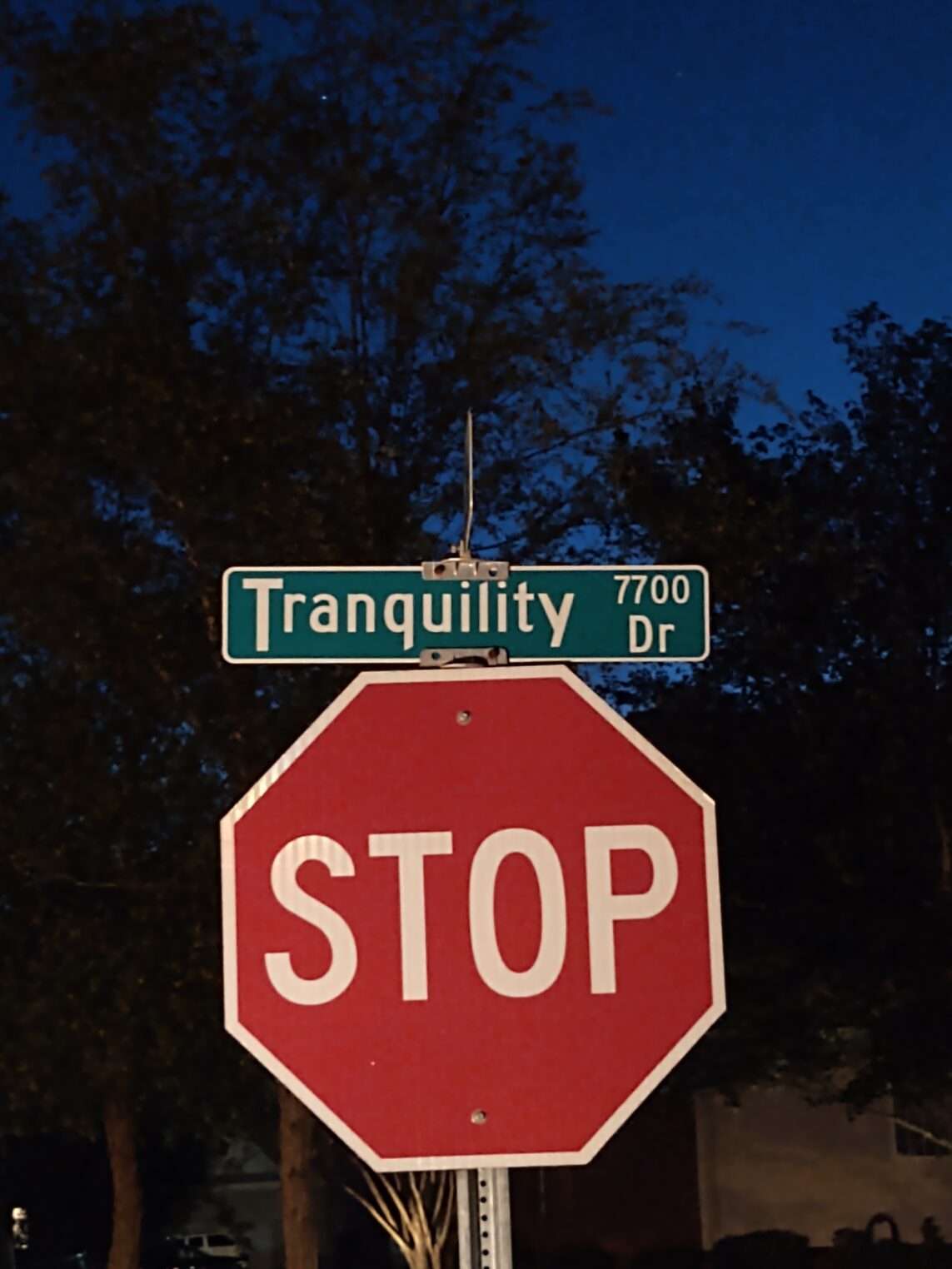 Fast food restaurants and the best quality of delivery