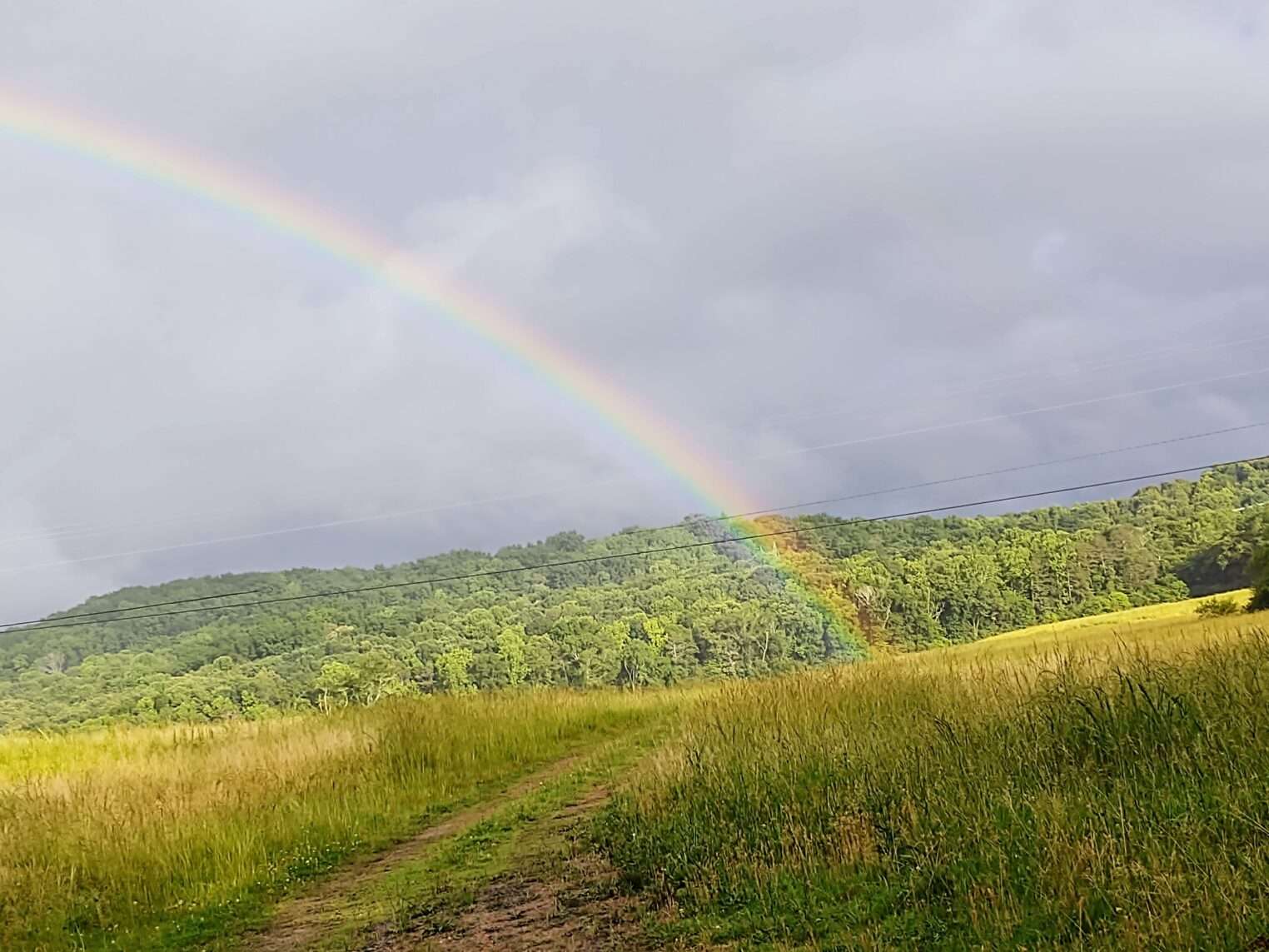 The fast track to show time – Tales of the Courier