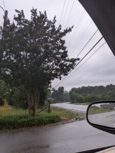 chance of rain
